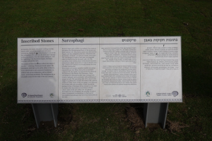 P1000556.png